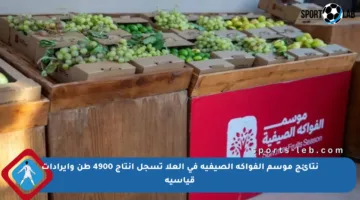 نتائج موسم الفواكه الصيفية في العلا تسجل إنتاج 4900 طن وإيرادات قياسية